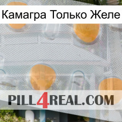 Камагра Только Желе 24